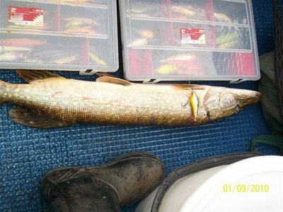 85см против 6см.jpg