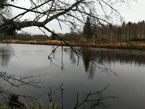 IMG_20181111_122308.jpg