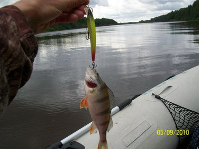 9см лимон 2.jpg