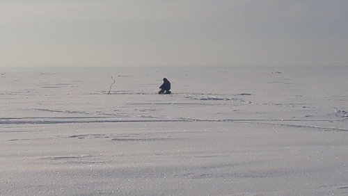 20190127_114954.jpg