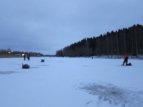 IMG_0113.JPG (55.12 КБ) 30738 просмотров Полдня потеряли на ловлю светлоглазых