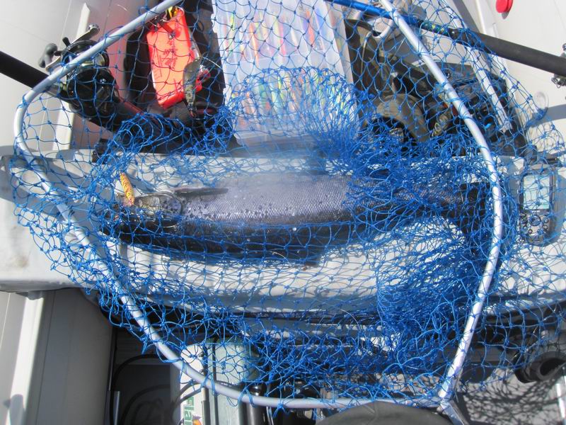 Изменение размера IMG_3231.JPG