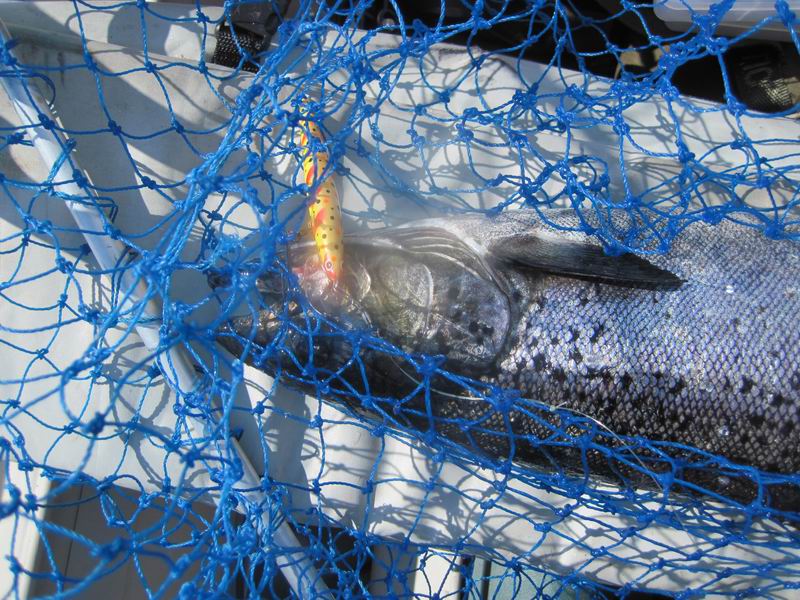 Изменение размера IMG_3230.JPG