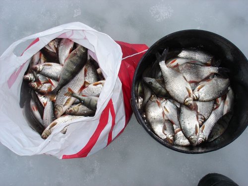 DSC09764.JPG (118.7 КБ) 11937 просмотров DSC09764.JPG