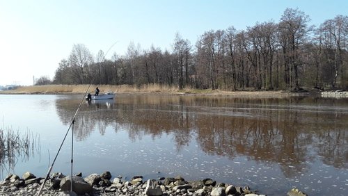 20190424_110206.jpg (110.48 КБ) 26376 просмотров Одинокий судачатник.