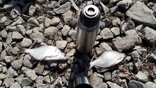 20190424_124443.jpg (167.5 КБ) 15576 просмотров 20190424_124443.jpg