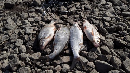 20190424_155731.jpg (153.24 КБ) 15576 просмотров 20190424_155731.jpg