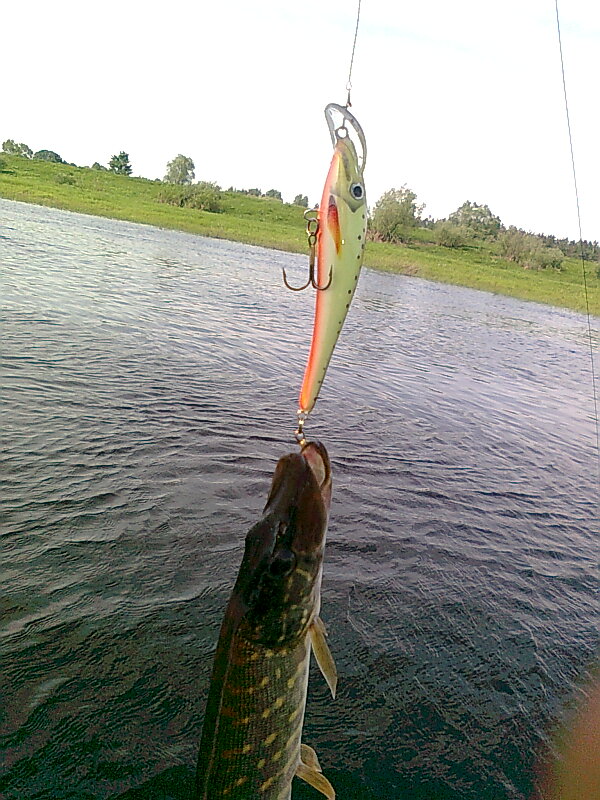 Изображение 1140.jpg