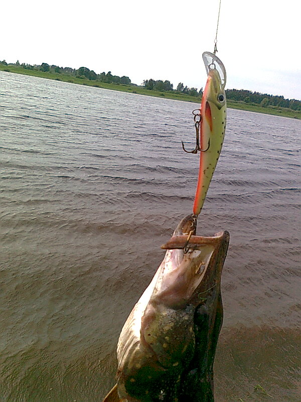 Изображение 1149.jpg