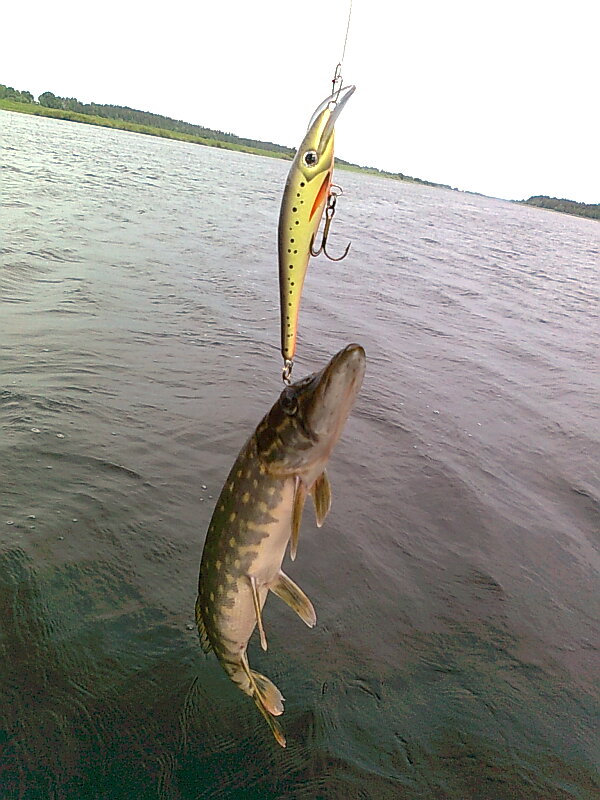 Изображение 1148.jpg