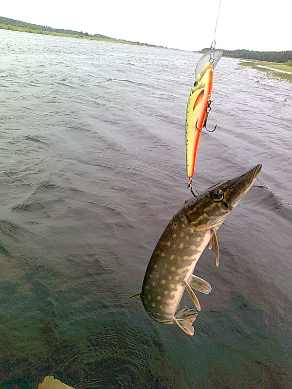 Изображение 1146.jpg