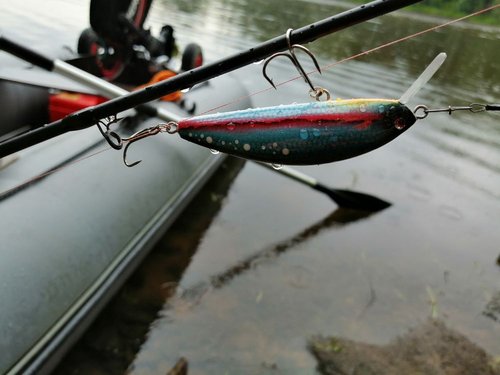 IMG_20190717_134024.jpg (76.02 КБ) 7339 просмотров Абаша, 80sf, шумавой, 12,5гр.