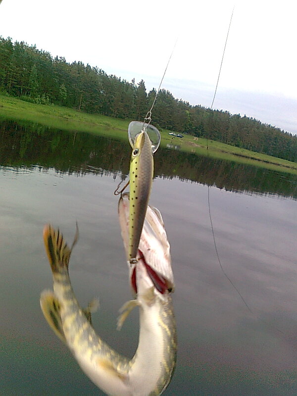 Изображение 1174.jpg