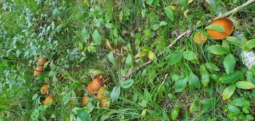 20190822_175819.jpg