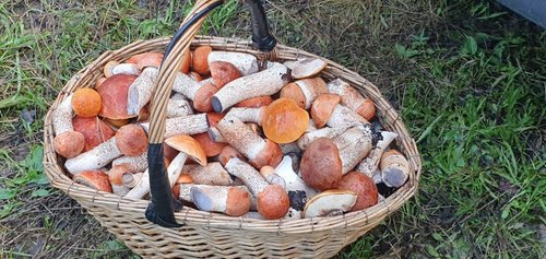 20190904_175703.jpg