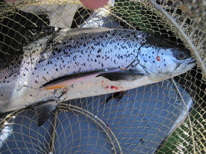 такой взял 4-5 шт. (точно не помню)