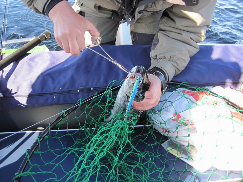 такой 2-3 шт.