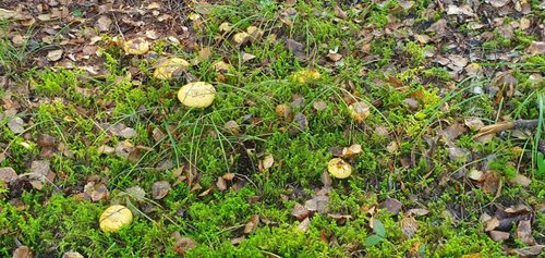20190920_093524.jpg