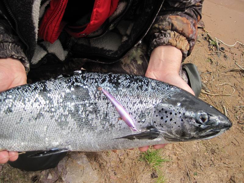 банан 95 мм (расцветку содрал у Лёхи) - самый большой рыб - 3 кг, взял в струе мотора, на 10-метровом отпуске.