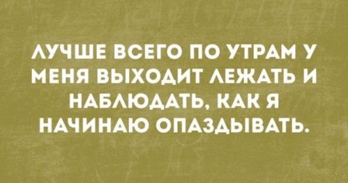 bf03c5e8a7935abbdaa4934449d.jpg