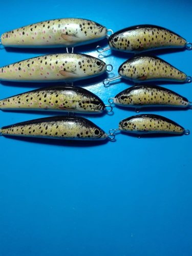 048_n.jpg (78.21 КБ) 21900 просмотров 048_n.jpg