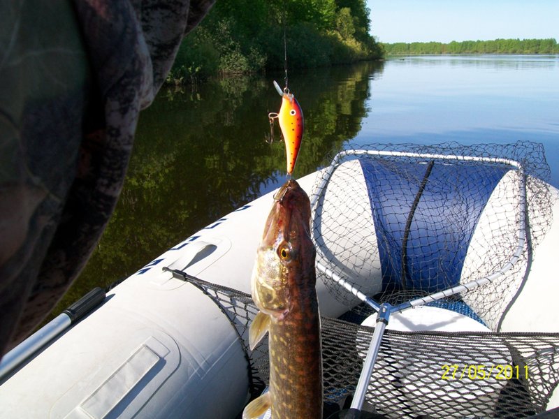 новенький из семейки