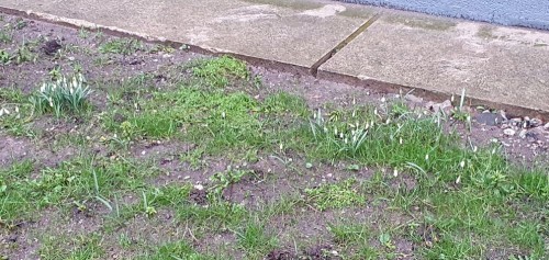 20200221_164520.jpg