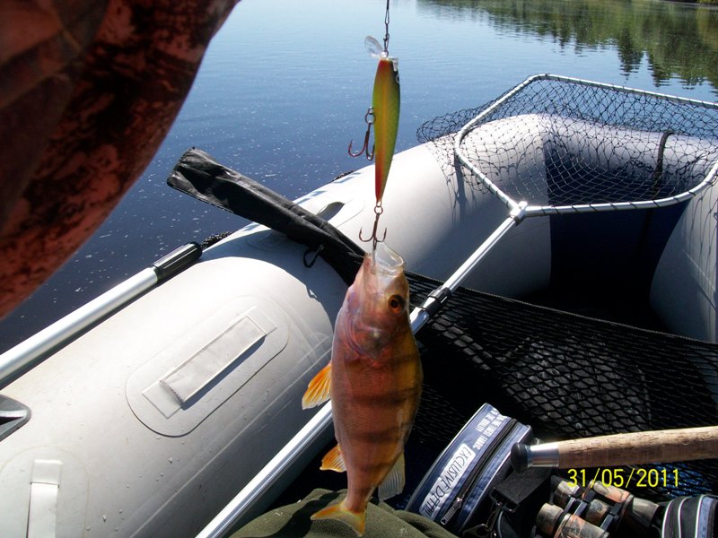 Этому тоже налил и отпустил!