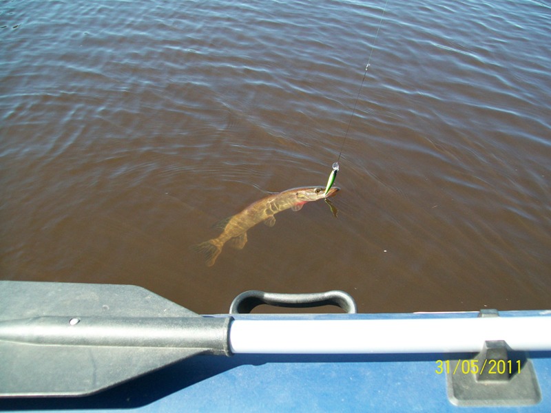 Вот такая в реке Волхове вода!