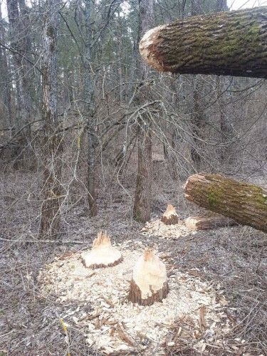 Сергей на рыбалке без сигареты..jpg