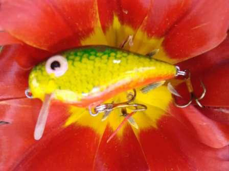 Вот этот воблер. Длина 5 см. заглубление до метра.