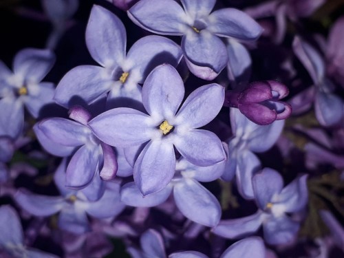 20200602_072217.jpg (81.38 КБ) 14500 просмотров Кто из нас не искал :-)