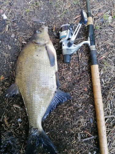 IMG_20200607_083804.jpg (254.95 КБ) 10463 просмотра IMG_20200607_083804.jpg