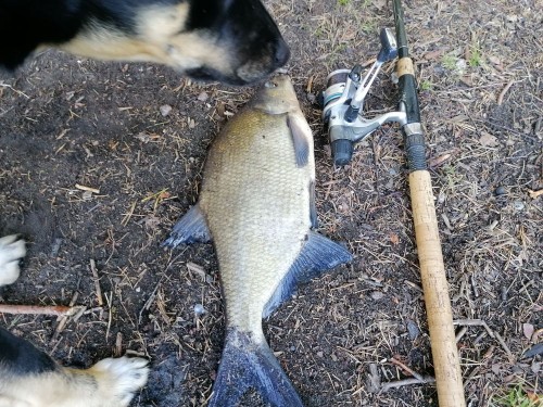 IMG_20200607_083828.jpg (257.49 КБ) 10463 просмотра IMG_20200607_083828.jpg