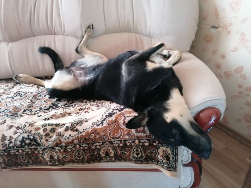 IMG_20200607_114207.jpg (114.05 КБ) 10463 просмотра И после рыбалки