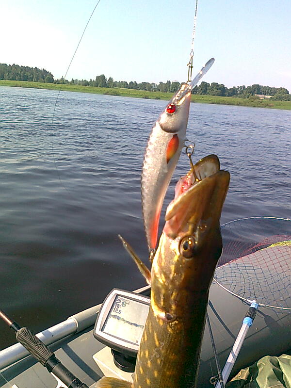 Изображение 1215.jpg