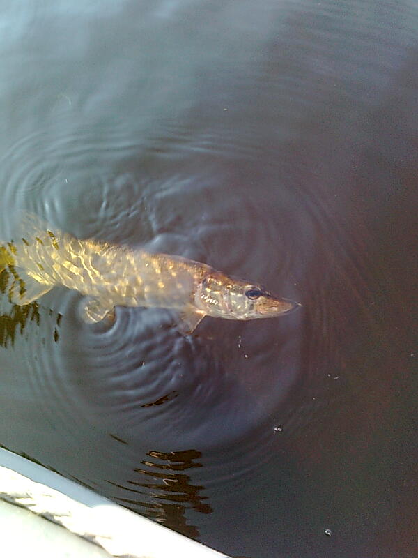 Изображение 1209.jpg