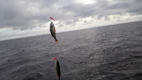 20200906_090530.jpg