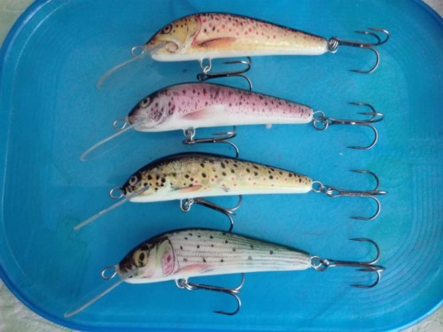 Lipień i pstrągi.jpg (83.21 КБ) 19789 просмотров Lipień i pstrągi.jpg