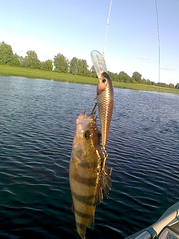 Изображение 1222.jpg