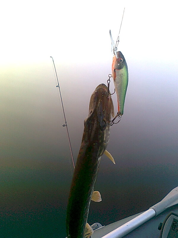 Изображение 1226.jpg