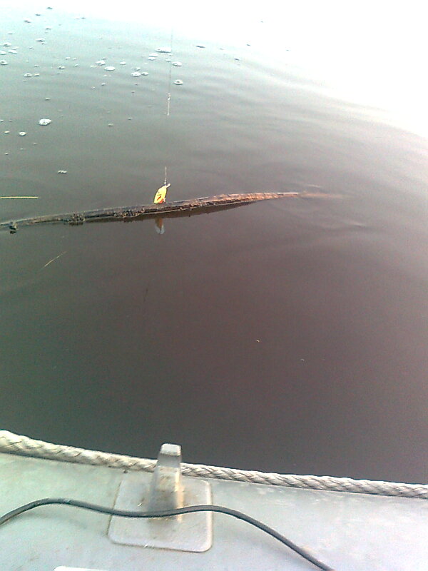 Изображение 1227.jpg