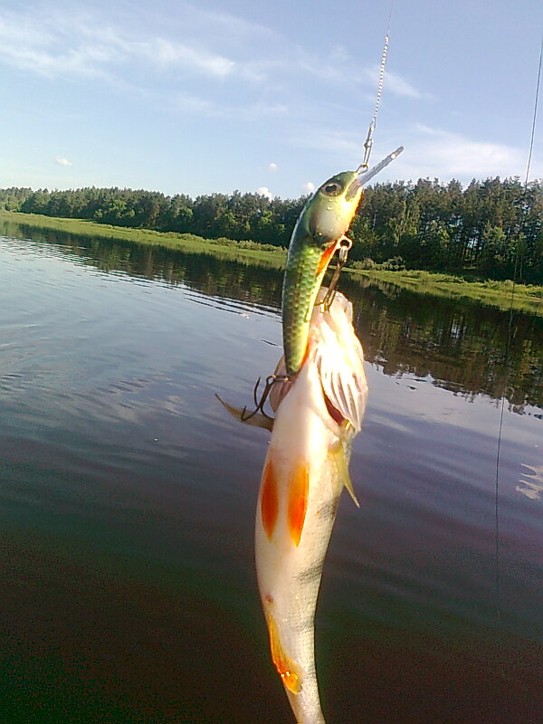 Изображение 1230.jpg