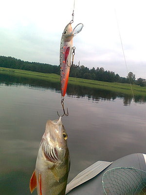 ещё на него