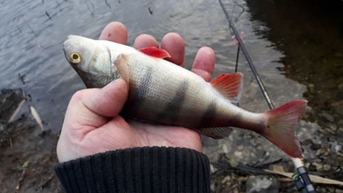 20201128_101019.jpg