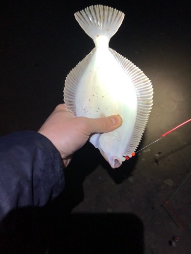 1D49542F-0BC5-4B68-B7FD-6C62395CBF1E.jpeg (87.2 КБ) 10207 просмотров Размер Перакюла и Хийумаа :) Обе рыбы сняты с одной снасти.