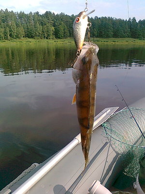 Изображение 680.jpg