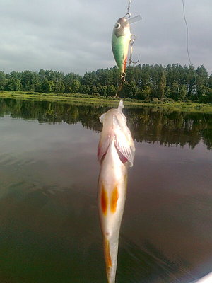 Изображение 675.jpg