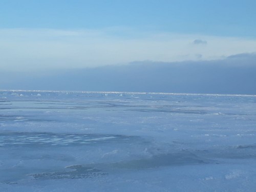 20210123_103306.jpg