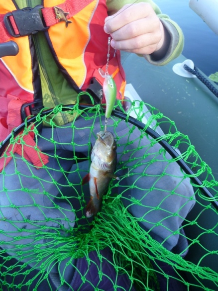 Как часто бывает - первый заброс принёс рыбу. Сын был счастлив - это был его заброс!